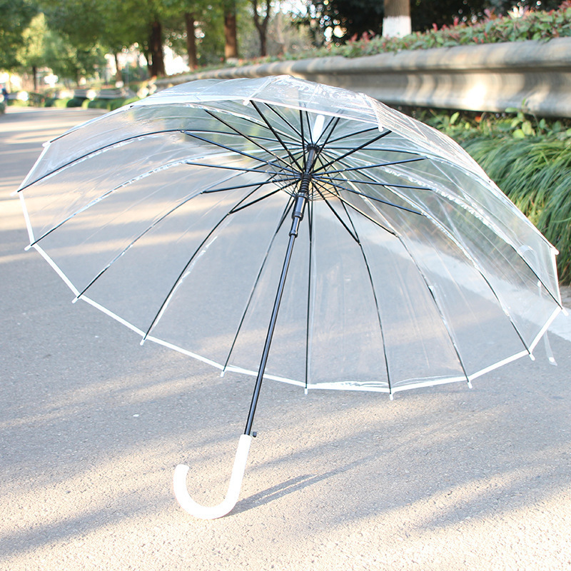 16-Rib Transparent Umbrella Japanese Style Literary Fresh Long-Handle Umbrella Creative Unisex Couple Umbrella Thickened Umbrella Wholesale