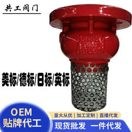 德标法兰底阀 球墨铸铁美标 日标 英标法兰底阀  水泵吸水底阀