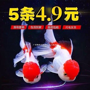 �ͽ��~�^�p�~�m���\����ˮ����С����̩�{��ˮ�~�^�p�~��С�~