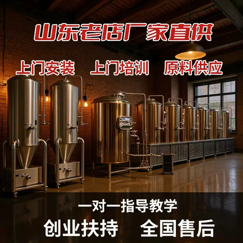 酿酒设备一体机设备一体机酿酒山东鑫鼎精酿啤酒设备