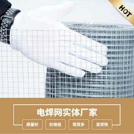 镀锌电焊网12.7mm孔五金布跨境专供亚马逊铁丝网
