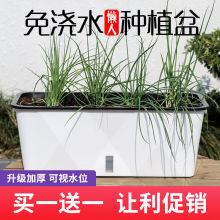长方形无纺布种植袋营养钵自动吸水水果懒人种菜双层树脂营养袋