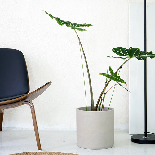 Creative personality cement floor-standing flowerpot large round breathable Nordic simple living room home tree planting pot