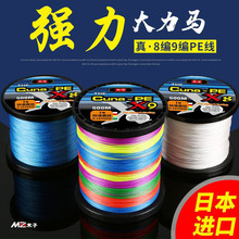 300��9�������Rpe���������·��8��500�׺����������������S���l