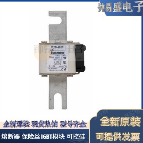 美国BUSSMANN熔断器170M5412  170M5413  170M5414  170M5415全新