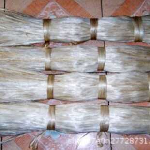 2026�S�ҹ�����©��©ˮ���S��z����z�w�S��z�S��z����z��Ƥ