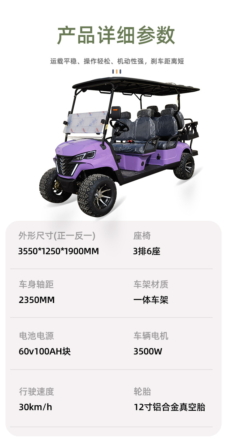 Electric Golf Sightseeing Car, Golf Cart for Tourist Areas, Electric Tour and Sightseeing Shuttle Vehicle for Property Viewings