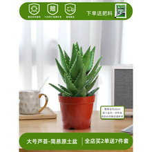 �J�C�����҃ȳ���ȩ�����՚�ֲ���k���������ƶ����J�C�ļ����B��
