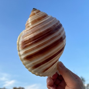 ���y���ݻ��c������Ȼؐ�� �~��ˮ�����ؐ�~�ľ�з��Q��Сҹ��