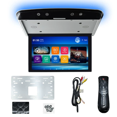 Car ceiling-mounted monitor, Car display