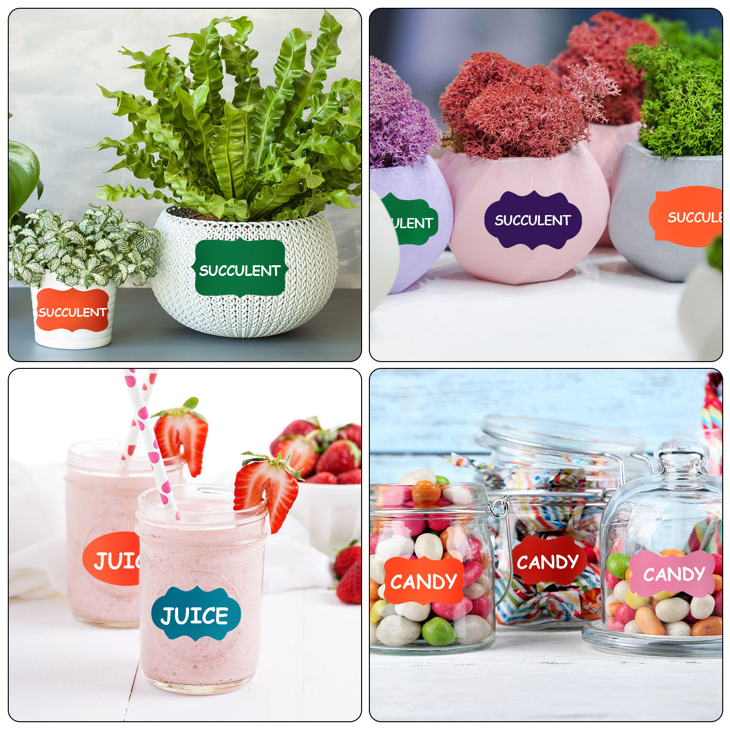 10枚 14x22cm主图-02