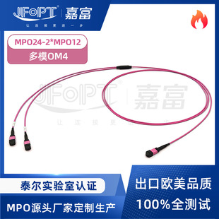 �θ�24оMPO��֧����OM4��ģMPO-24�D2*MPO-12���ق�ݔ�·�Uչ