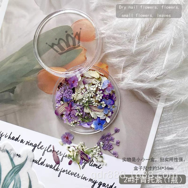 Japanese Style Ins Style New Garden Oil Painting Series Manicure Dried Flowers Blc Small Flowers Tulip Petals Jewelry Wearable Nails