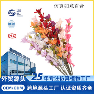 ���滨�L���m�b�c�[����@�Ҿә����Ҿ��b���c�ٻ�ܛ�b����