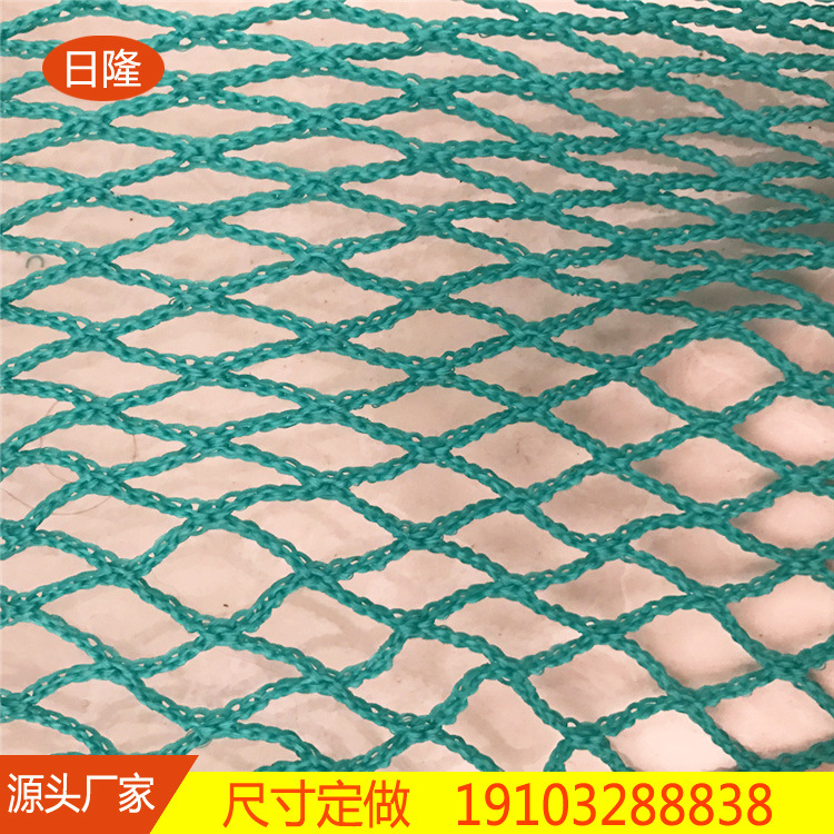 绿色聚乙烯防鸟网渔网 家禽网 果园植物网 养殖网
