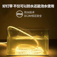 カスタマイズされた LED ライトストリップ低電圧 24V 固体シリコーン高輝度 IP68 屋外防水風景プール照明プロジェクトライト
