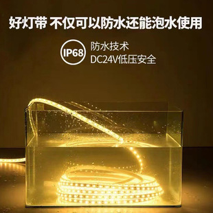 Customized Led Light Strip Low Voltage 24V Solid Silicone High Brightness Ip68 Outdoor Waterproof Landscape Pool Lighting Engineering Light