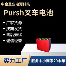 Pursh泵24-5PZS700H 48V700AH潭̨Ѹ