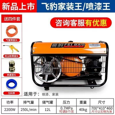 Hava kompressorları – Air Pump Air Compressor 220V - flying-leopard-paint-king-oil-powered