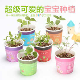 创意迷你绿色盆栽 办公室小植物种植桌面宝宝DIY绿植开学礼物