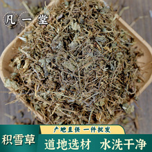 【凡一堂】 积雪草道地选材 雷公根 崩大碗 满天星落得打干净无杂