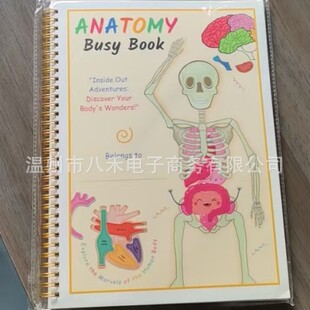 �羳��Ʒ����Creative Human Anatomy Busy Book���w���ʌWæµ��