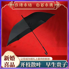 WG6Q�ٽz��t��Y����������Y��������c���ϲ������