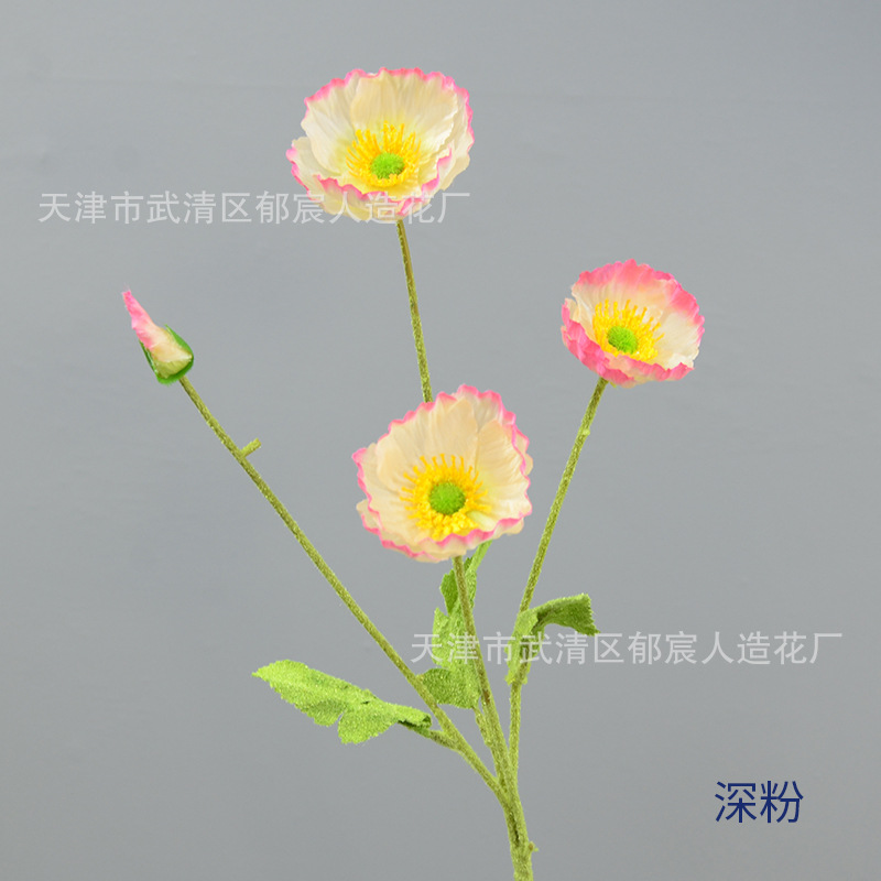 딥 파우더