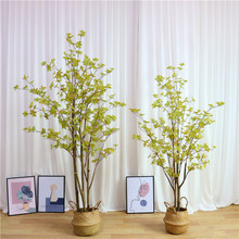 ֲɫR WtRľҾշbG~ձb