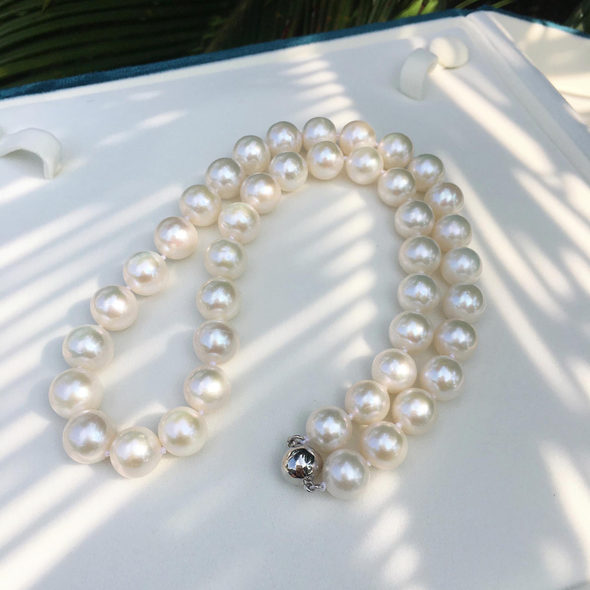 ����С����ͬ�����İ״��λ���tianȻ��ˮ�к�������������