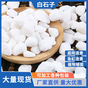 Wholesale Natural White Stone Courtyard Landscaping Landscape Paving Flower Pot Fleshy Paving Round White Stone Pebbles