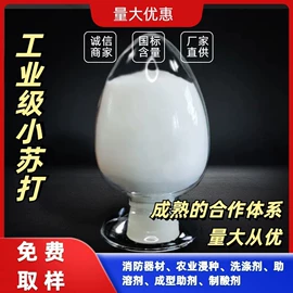氯化物;碳酸盐;亚硫酸盐