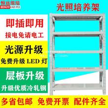 光照培养架植物组培架实验室架子不锈钢货架育苗架T5LED组培灯