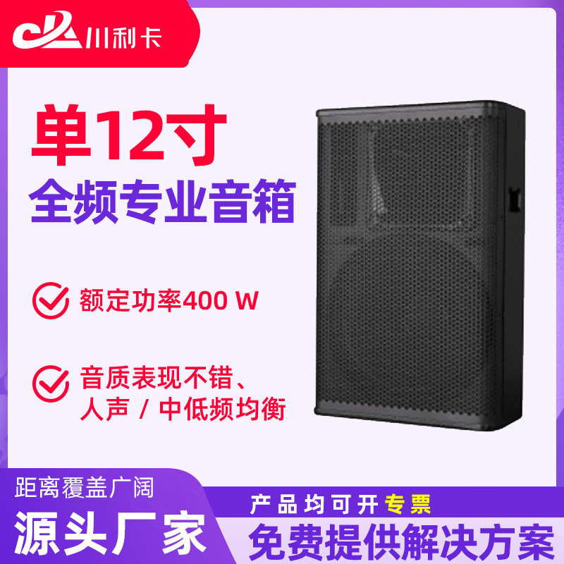 400W Single 12inch Full-Range Speaker Audio Performance Conference Room Broadcasting System Equipment Public Address System Equipment 400W Single 12inch Full-Range Speaker Audio Performance Conference Room Broadcasting System Equipment Public Address System Equipment