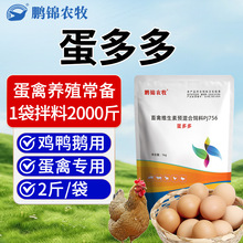 鸡鸭鹅蛋多多专用饲料添加剂厂家直发