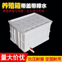 ��̖�B�~�B������ˮ���_͸��װ�ɫ�z�䎧�w��ˮ�yˮ�a�Bֳ���D��