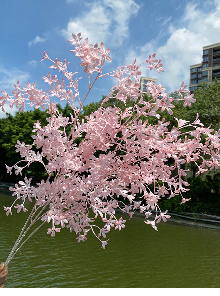 文心兰1_04.jpg