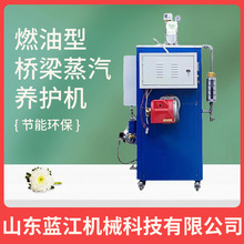 混凝土养护用燃气蒸汽发生器 小型立式天然气蒸汽锅炉 燃气蒸汽机