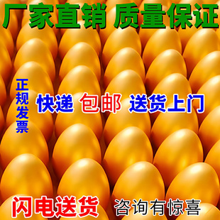�ɶ����ҽ𵰽𵰽��u���_�I��ӳ骄�����ҽ𵰮����_���^����