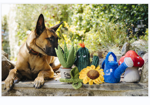 微信图片_20230219200937