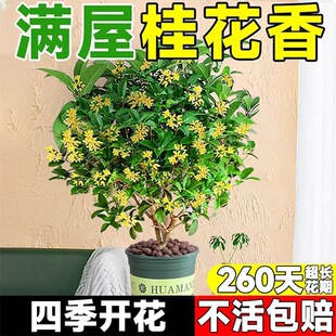 �𻨘��ļ��������Ϙ����_�������҃��̨ͥԺ��Ý����ͻ��ܾGֲ