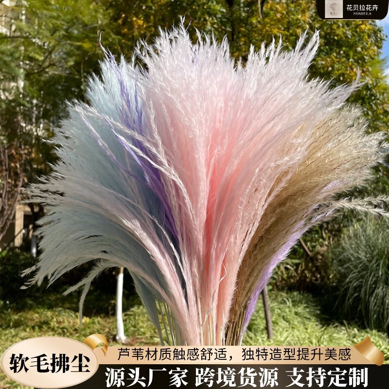 Soft Bristle Duster, Dried Flowers, Pampas Grass, Decorative Reeds, Wedding Photography, Home Decor, Colorful Decorations, Commercial Landscaping