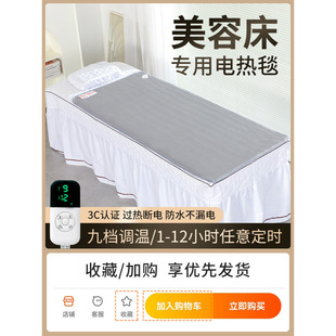 Bed Electric Blanket Single Person Special Massage Bed Safe Small Size Electric Mattress on Home Sofa