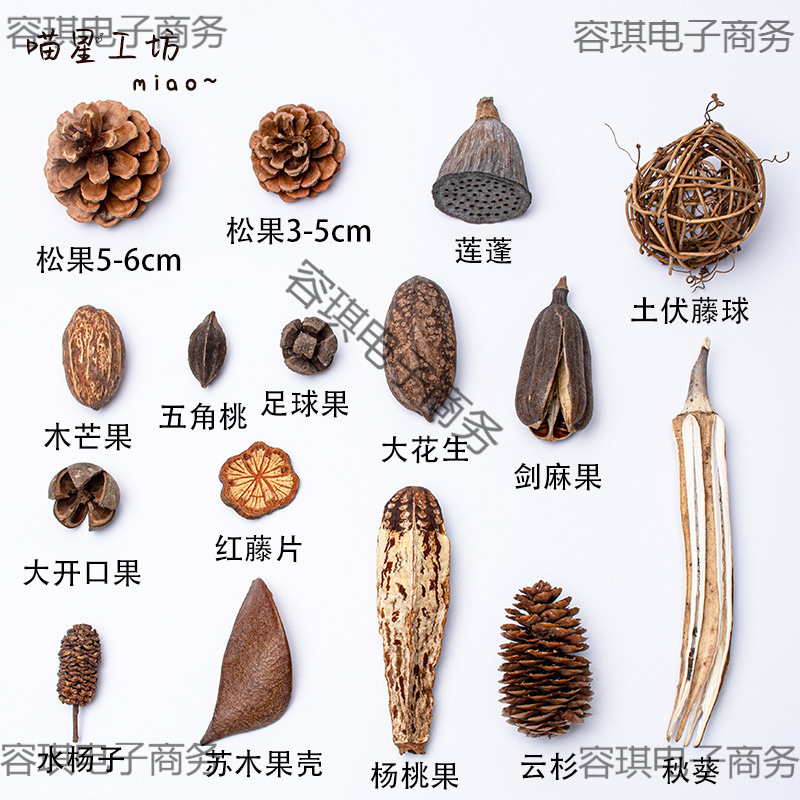 √【18元批发】猫咪丰容果实干果玩具橡果松果宠物用品天然植物丰|undefined