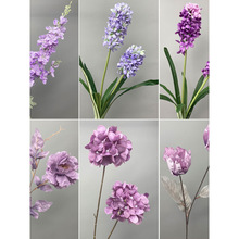 滨lcɫٻõ彑ϻYƵb·廨