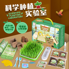 Children's planting observation seed germination and growth scientific experiment set primary school students diy potted planting toys