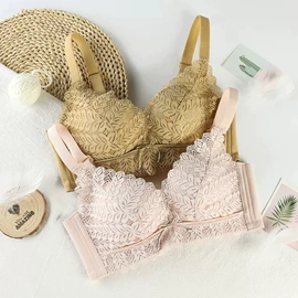 塑身裤;调整型文胸;无痕文胸