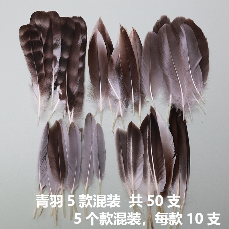 青羽 加字.jpg