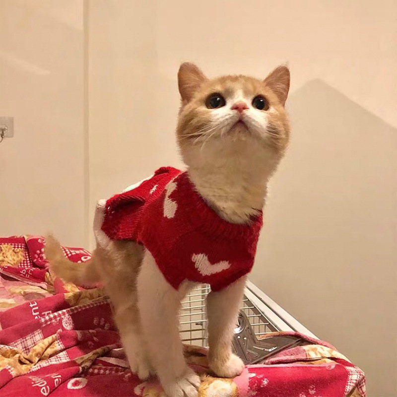 애완 동물 원피스 케이크 공주 원피스  사랑 가을 겨울 INS 고양이 옷 애완 동물 개 원피스 스웨터 니트 스웨터