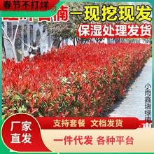 һlt~ʯ骘ļͥԺGľ򻨈@Ghֲh